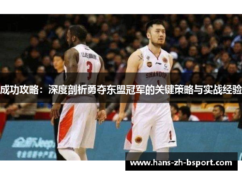 成功攻略：深度剖析勇夺东盟冠军的关键策略与实战经验