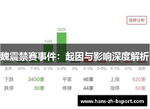 魏震禁赛事件：起因与影响深度解析