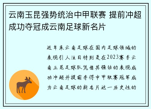 云南玉昆强势统治中甲联赛 提前冲超成功夺冠成云南足球新名片