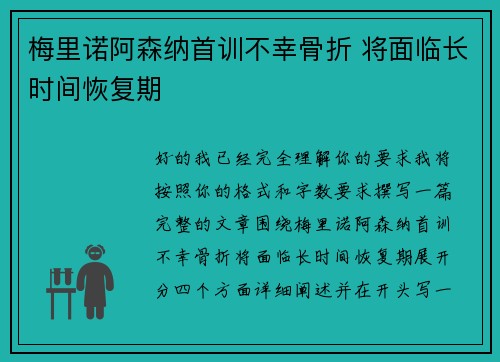 梅里诺阿森纳首训不幸骨折 将面临长时间恢复期